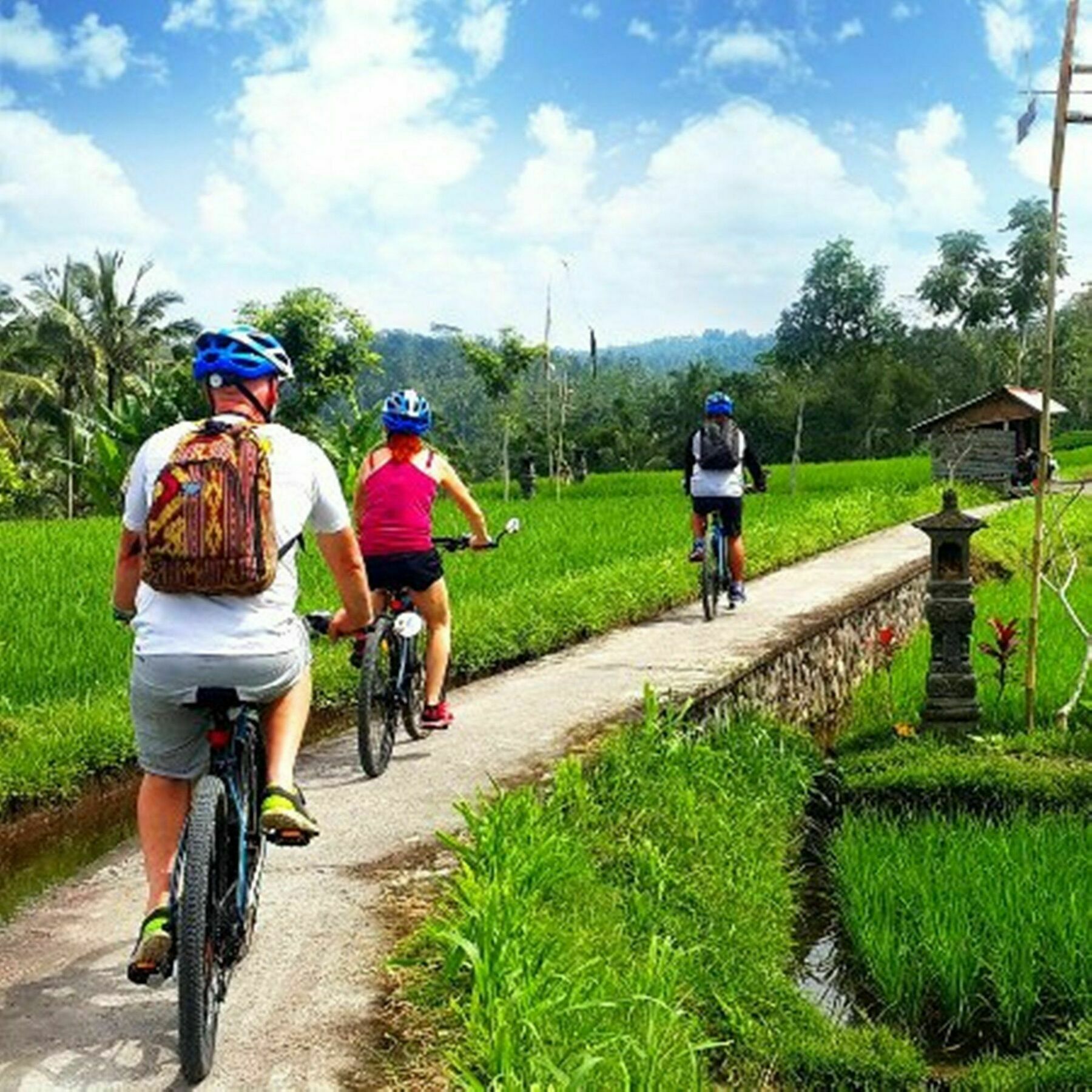 Omah D'Taman By Eps Hotel Ubud Kültér fotó